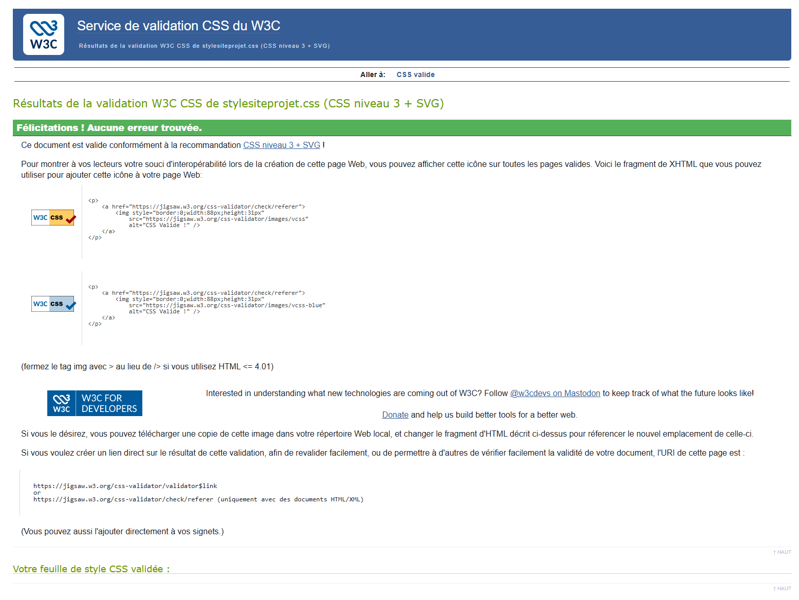 Capture validation W3C CSS